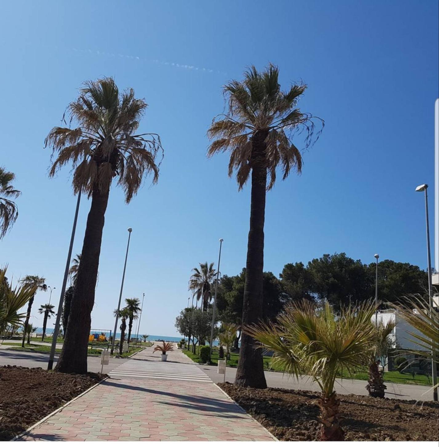 Amaris Apartments Durres Ruang foto